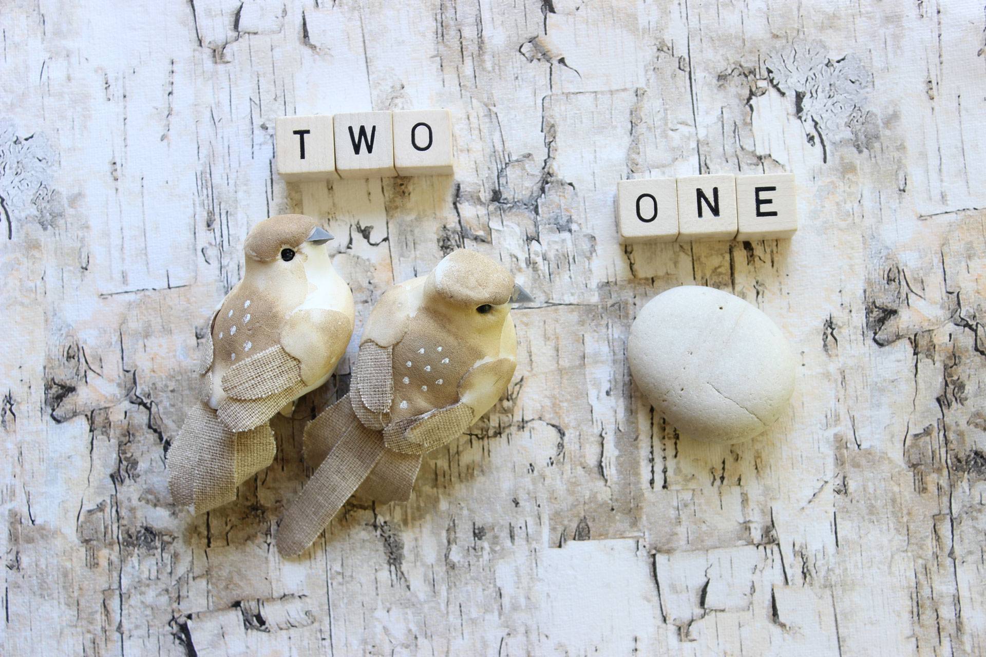 One Stone, Two Birds